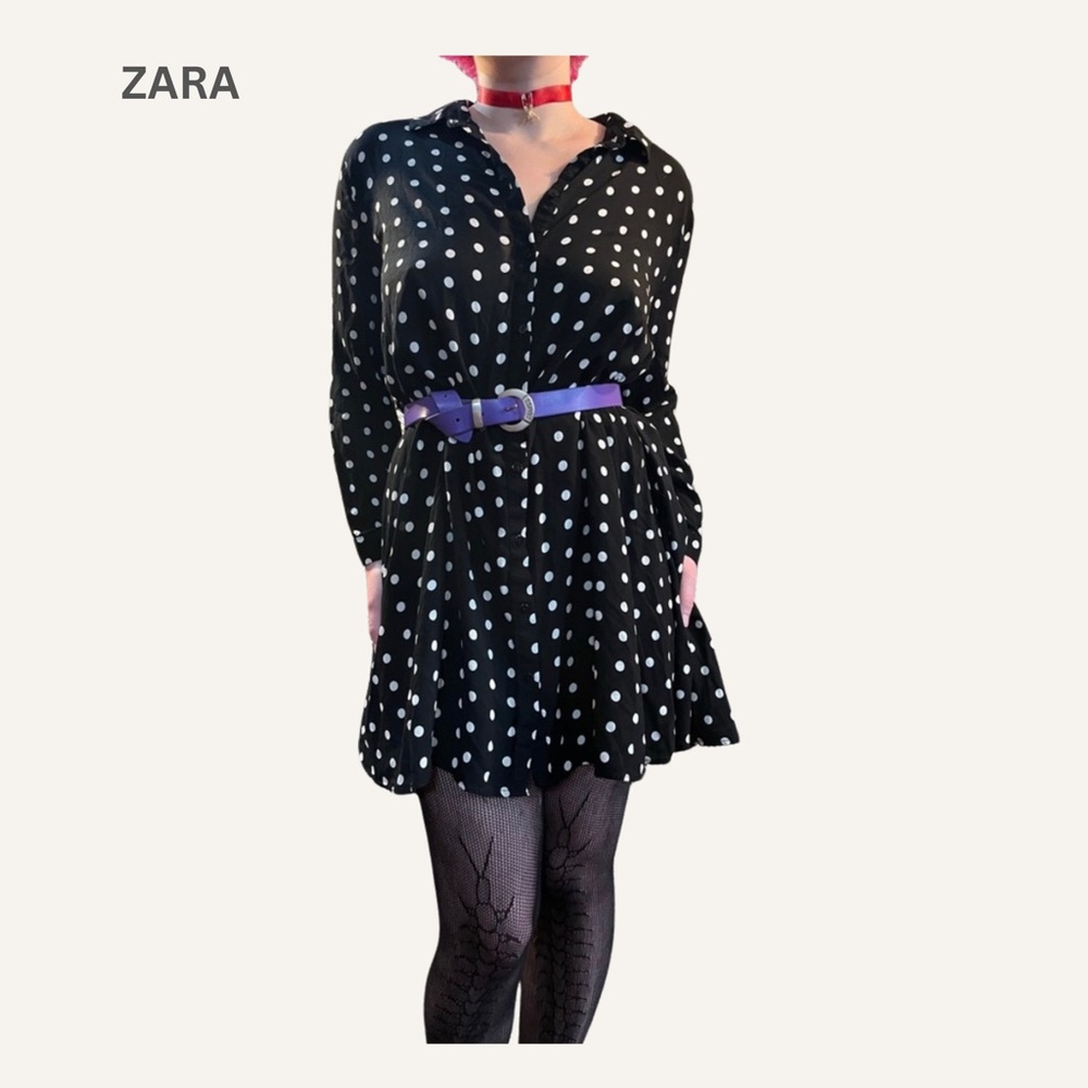 Zara Polka Dot Dress (L),